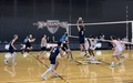 R19 Championship: OCC Men's Volleyball Falls to Northampton in 5 Sets, 3-2