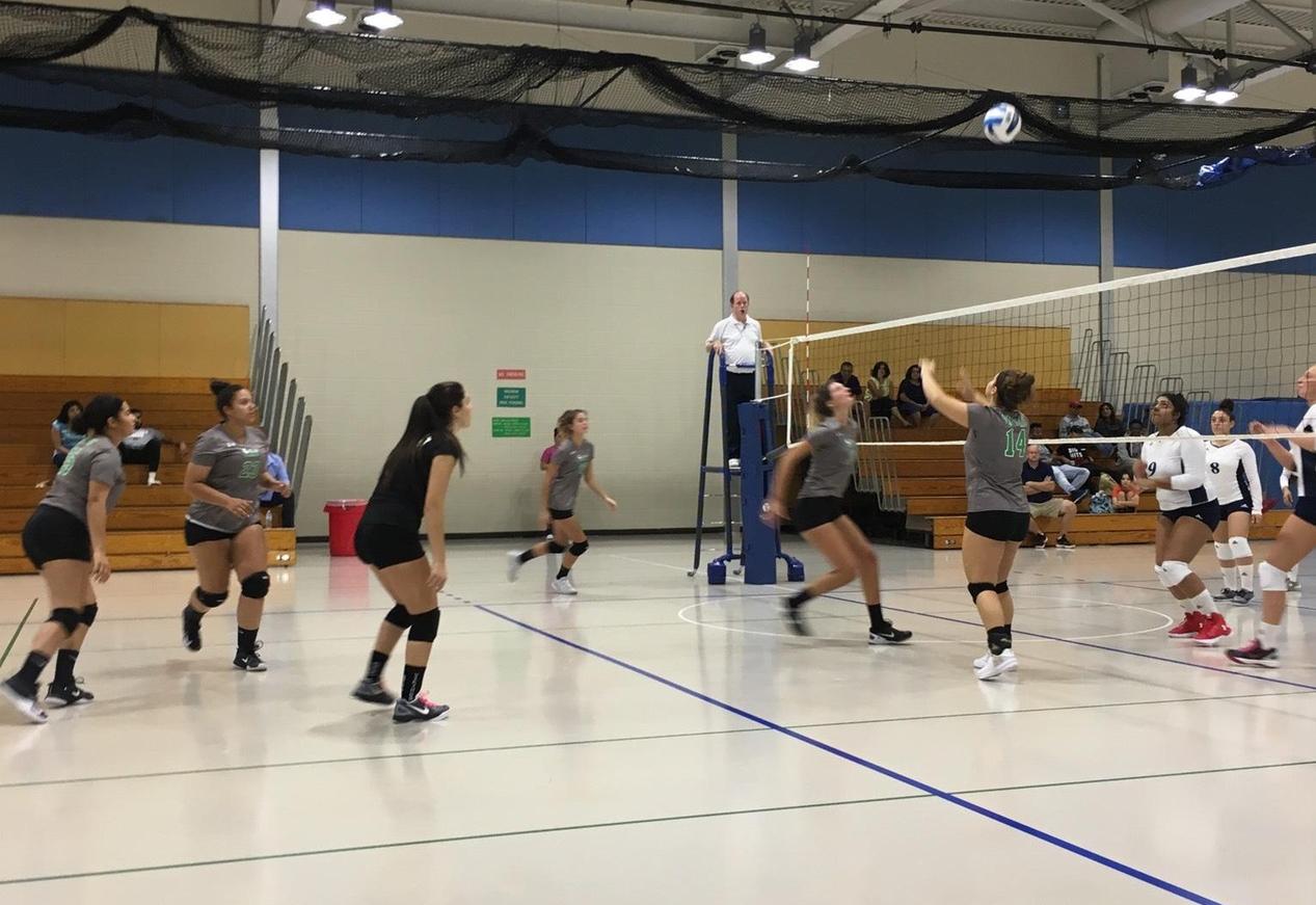 Vikings Volleyball Sweeps Middlesex CC, 3-0